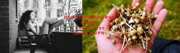 a pvp Алексеевка