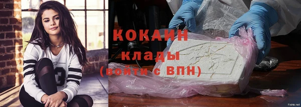 соль ск Алексин