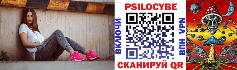 где можно купить   Анжеро-Судженск  Псилоцибиновые грибы Psilocybine cubensis 